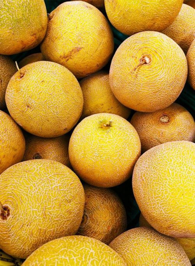 Produktfoto zu Zuckermelone Galia