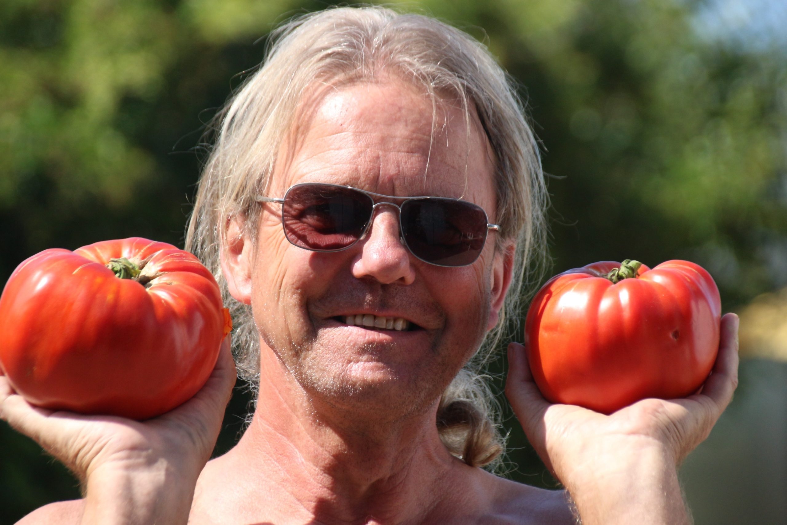 Die Geschichte der Tomate